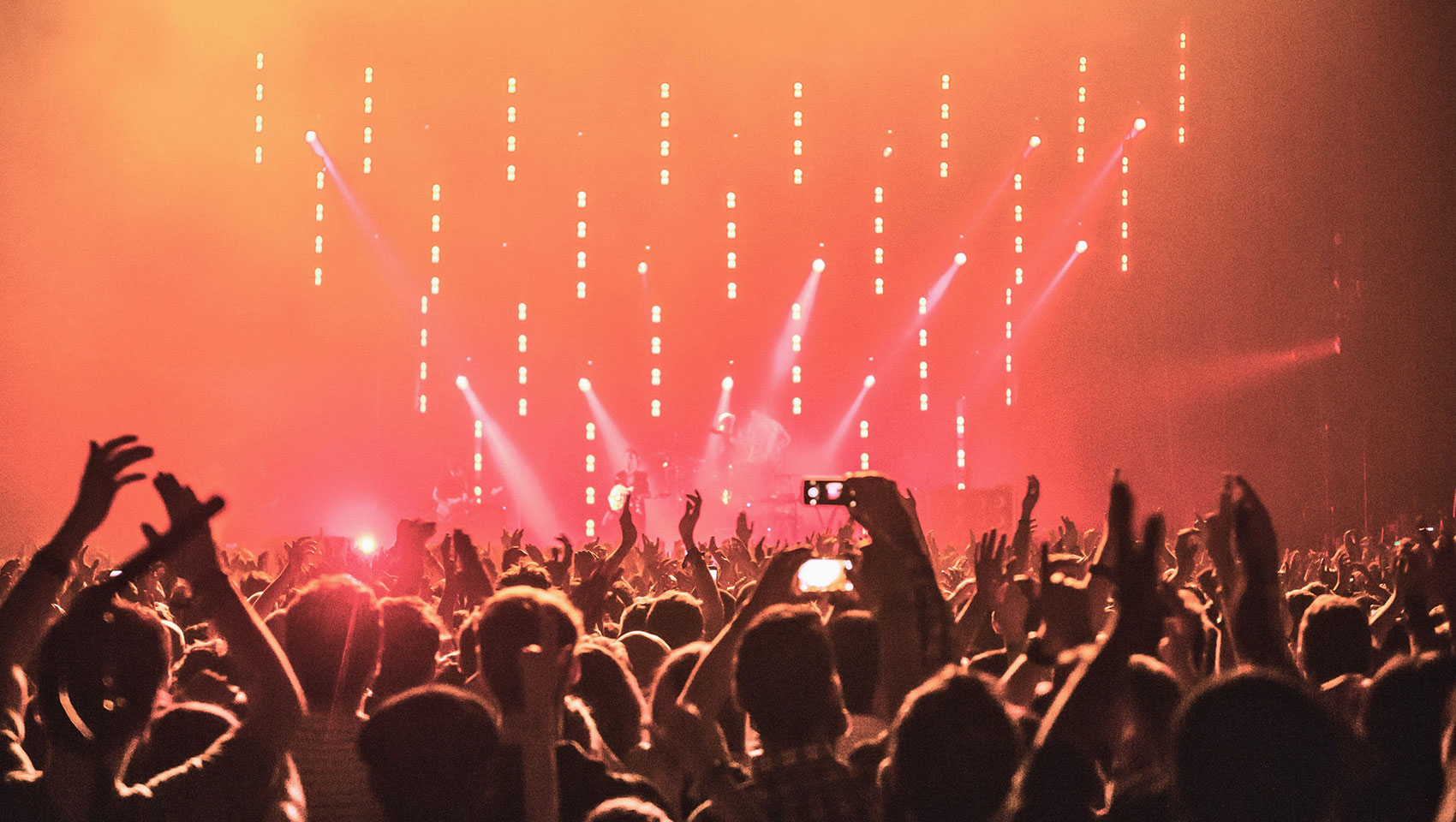 audience at a concert