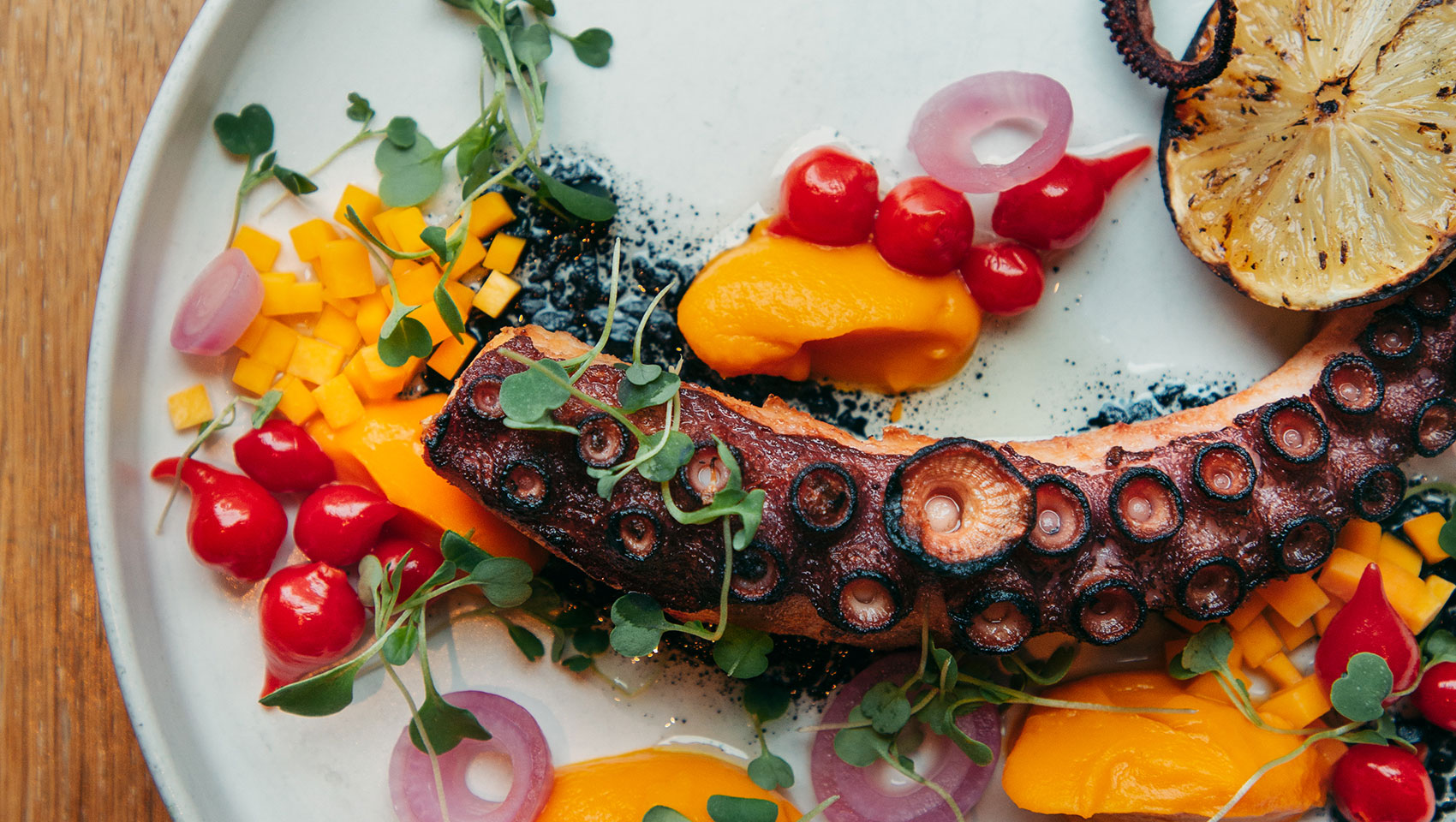 Aerial image of octopus dish