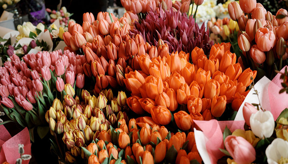 Flower Bouquets