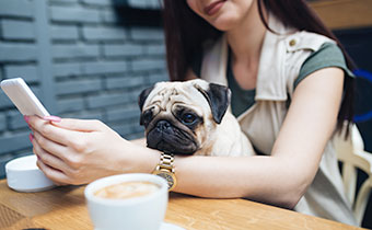 woman having coffee with her dog