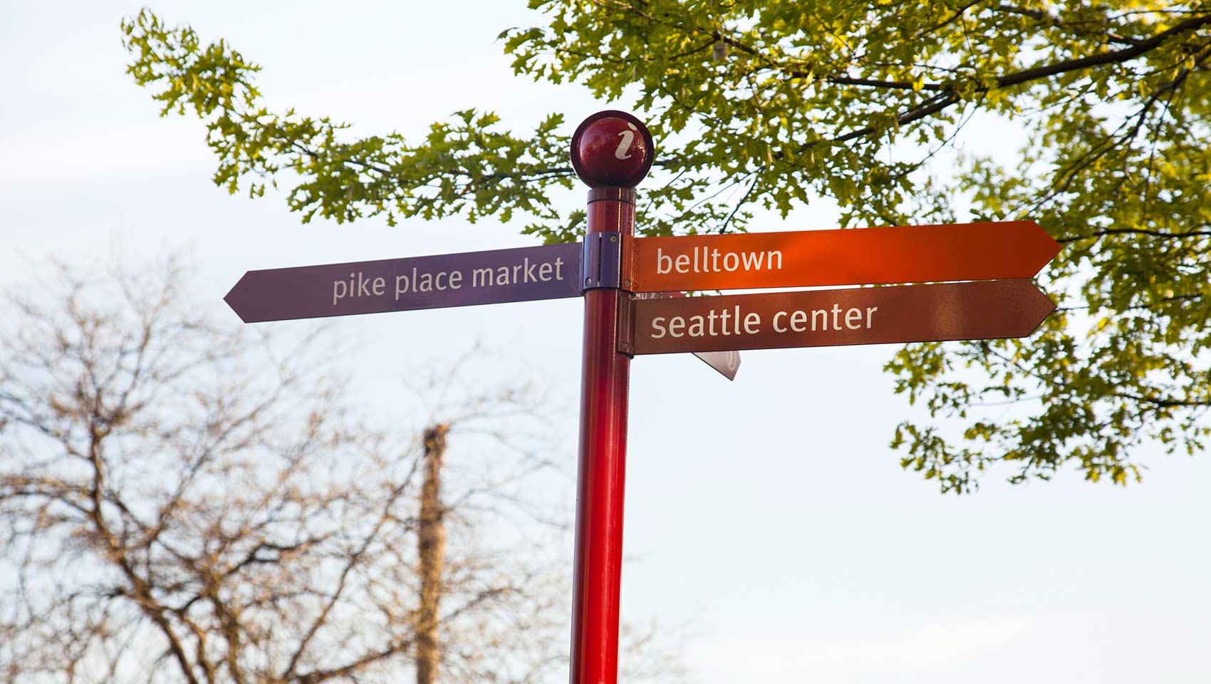 Belltown Seattle Kimpton